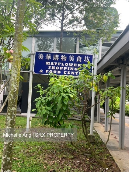 163 Ang Mo Kio Avenue 4 (D20), Shop House #536560691